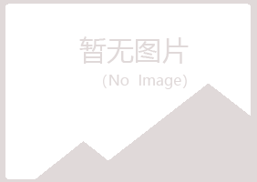 奎文区夜山会计有限公司